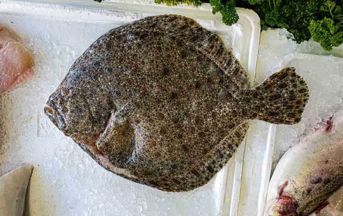 turbot recipe with sparkling wine will be just right for this prime specimen on our counter